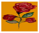 Parti Kongres Indian Muslim Malaysia (KIMMA)